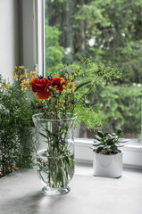 A bouquet of fresh cut wildflowers, crassula and asparagus on the windowsill against the background of large trees.