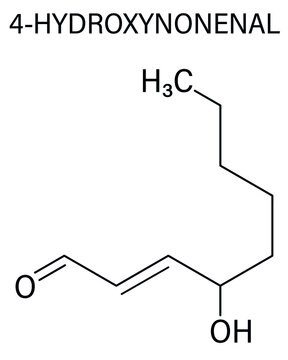 4-Hydroxynonenal (HNE) molecule. Metabolite produced by lipid peroxidation of polyunsaturated omega-6 fatty acids. Skeletal formula.