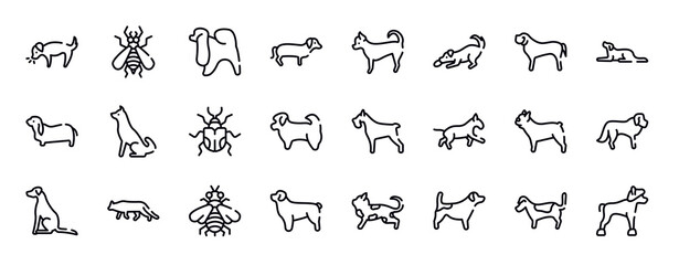 dog breeds fullbody thin line icons collection. dog breeds fullbody editable outline icons set. english mastiff, border collie, bas hound, akitas, null, shih tzu stock vector.