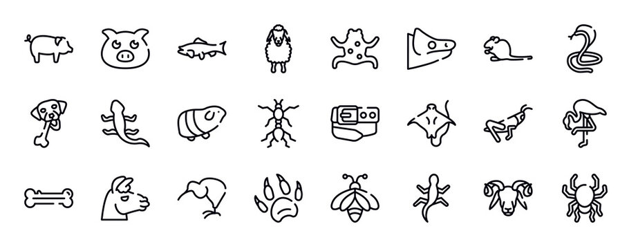 free animals thin line icons collection. free animals editable outline icons set. sitting mouse, poisonous cobra, chewing bone for dog, curved lizard, guinea pig heag, red ant stock vector.