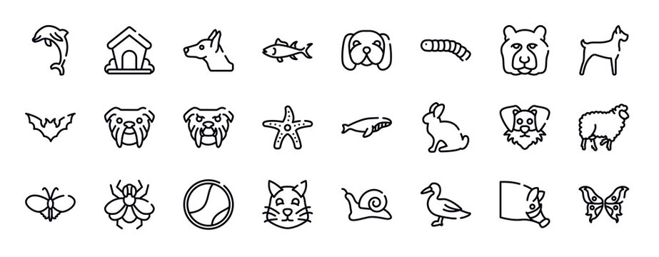 free animals thin line icons collection. free animals editable outline icons set. tiger head, big dog, plain bat, bulldog head, angry bulldog face, starfish with dots stock vector.