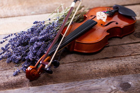 Vintage composition with violin and lavender