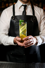 Barman hands holding high glass filled with fresh transparent cocktail