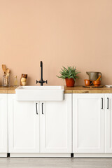 Counters with sink, houseplant and kitchen utensils near beige wall