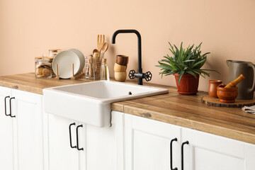 Counters with sink, houseplant and kitchen utensils near beige wall