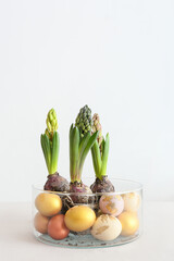 Glass pot with beautiful hyacinth plants and Easter eggs on light background