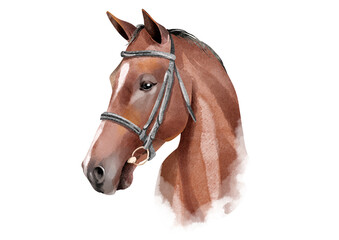 Watercolor Horse sketch. Cute illustration. Farm animal.