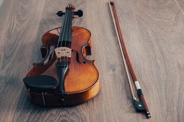 Classic violin, string musical instrument