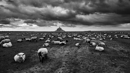 Dramatic black and white photograph of Mont Saint Michel