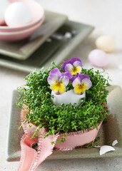 Handmade easter egg vase decorated with violet and yellow viola flowers in cress nest. Home decoration concept.