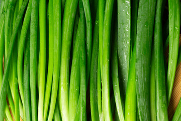 Close up of fresh green spring onions stems on wooden board.