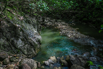 small river in the forest