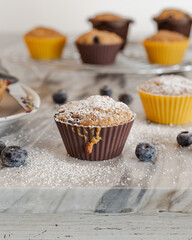 Closeup vegan coconut and blueberry muffins. Vegan cake