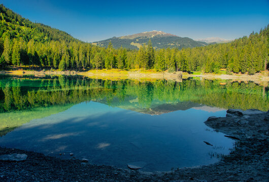 Lake Cresta and forest landscape, Graubunden, Switzerland
