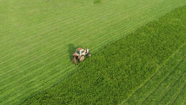 Aerial View Tractor Removes Grass From the Field