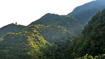 Lush green hills in the cloud forest in the Intag Valley, outside of Apuela, Ecuador