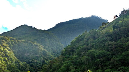 Lush green hills in the cloud forest in the Intag Valley, outside of Apuela, Ecuador