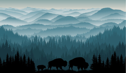 vector morning in mountains with family of brown zubr buffalo bisons with kid - obrazy, fototapety, plakaty