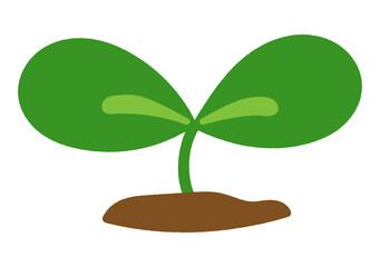 芽のシンプルな手書き風イラスト。挿し絵用。アウトラインなし。