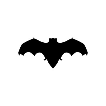 The Best Bat Silhouette Image With White Background