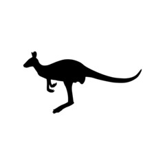 The Best Kangaroo Silhouette Pictures