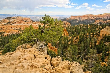 Bryce Canyon National Park, Utah. Giant natural amphitheaters, hoodoos, delicate and colorful...