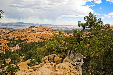 Bryce Canyon National Park, Utah. Giant natural amphitheaters, hoodoos, delicate and colorful...