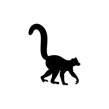 The Best Lemur Silhouette Pictures On White Background