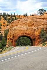 Red Canyon, Utah with its stunning hoodoo formations, red cliffs, pink soil, and ponderosa pines...