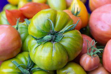 Heap of different colors and varieties tomatoes.  Red, pink and yellow-green spanish big tomato