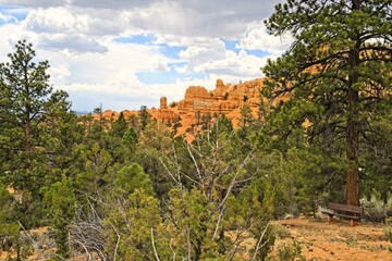 Fototapeta premium Red Canyon, Utah with its stunning hoodoo formations, red cliffs, pink soil, and ponderosa pines near Bryce Canyon National Park