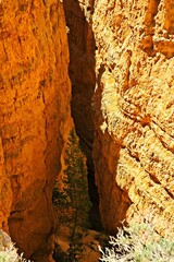 Bryce Canyon National Park, Utah. Giant natural amphitheaters, hoodoos, delicate and colorful pinnacles, red, orange, and white colors of rocks