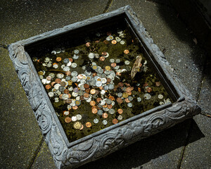 A top view of a wishing well with gold, silver and bronze coins at the bottom, covered in green...