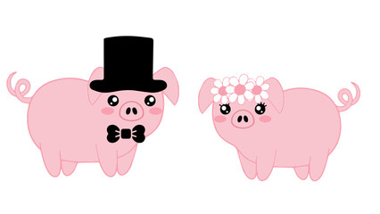 Pig wedding, husband and wife, cute
