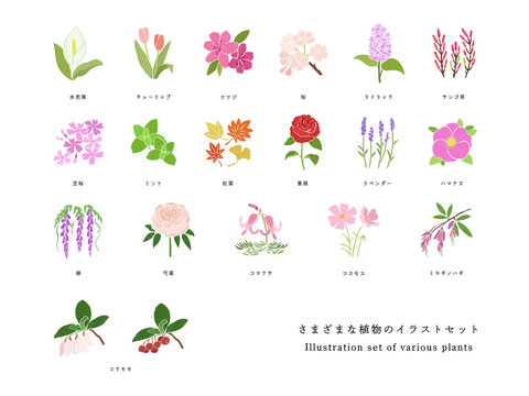 さまざまな種類の植物の手描きイラストセット