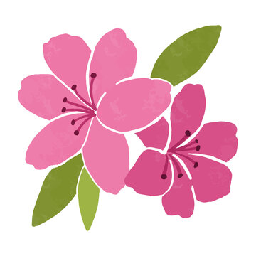 ツツジ Images Browse 18 350 Stock Photos Vectors And Video Adobe Stock