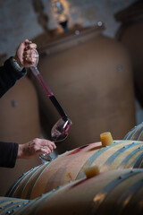 FRANCE, GIRONDE, SAINT-EMILION, SAMPLING A GLASS OF WINE IN A BARREL WITH A PIPETTE FOR TASTING AND...