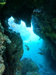 Fototapeta na wymiar Underwater Arch