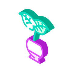 monstera deliciosa isometric icon vector. monstera deliciosa sign. isolated symbol illustration