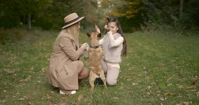 Joyful mother and daughter playing with dog in a par