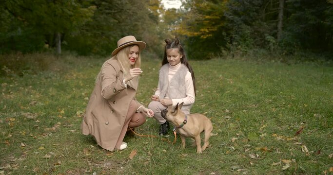 Joyful mother and daughter playing with dog in a par
