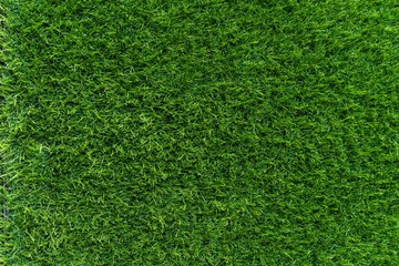 Obraz premium Green grass texture background