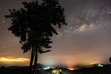 The tree and the galaxy milky way rising in Sungai Palas, Cameron Highland Malaysia. Image contains noise and grain due to high ISO.