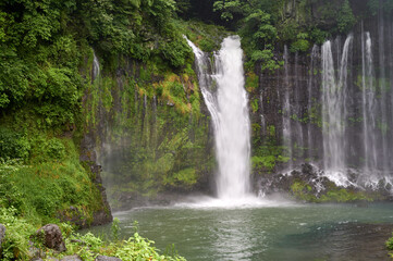 Fototapeta na wymiar Shiraito Falls, a waterfall near Mount Fuji, in Fujinomiya, Shizuoka, Japan.