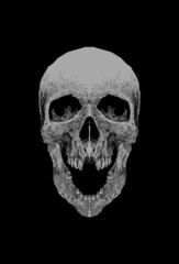 Dark art Art work Skull Demon Head human Illustration Black art Ornament