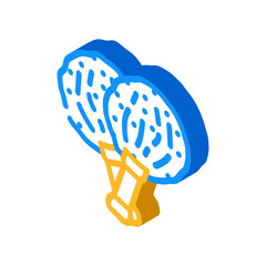 pompom for cheerleaders isometric icon vector. pompom for cheerleaders sign. isolated symbol illustration