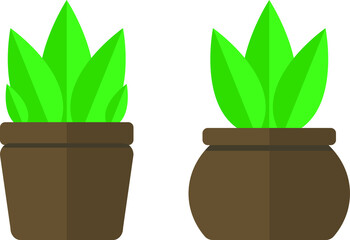 green basic plants in vase