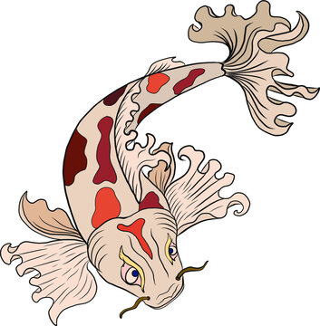 Koi fish vector for printing on shirt on isolated white background.