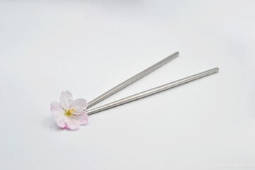 Sakura blossom pink flower picked from stainless steel chop sticks in.a white background