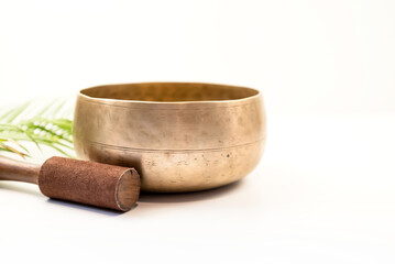 Tibetan singing bowl with mallet and cycad leaf on white background.